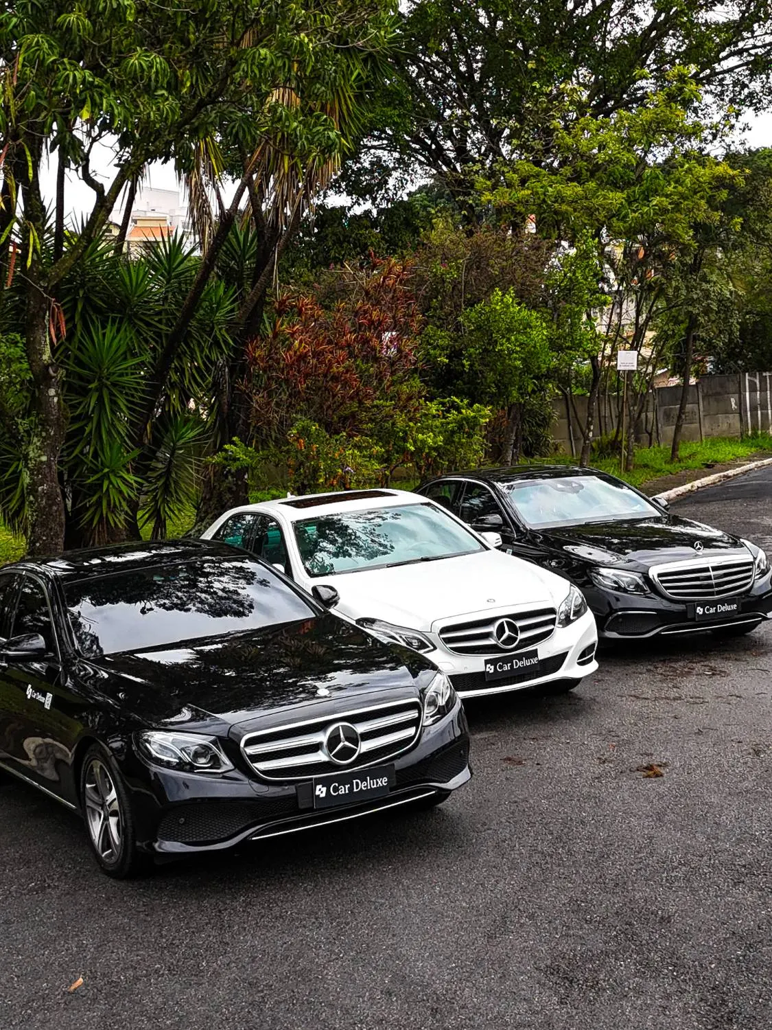 Frota de Classe E preto e branco reunida na base